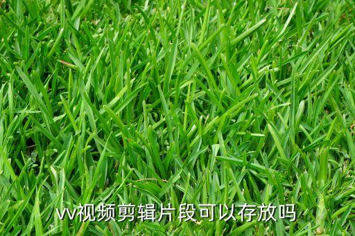 vv视频剪辑片段可以存放吗