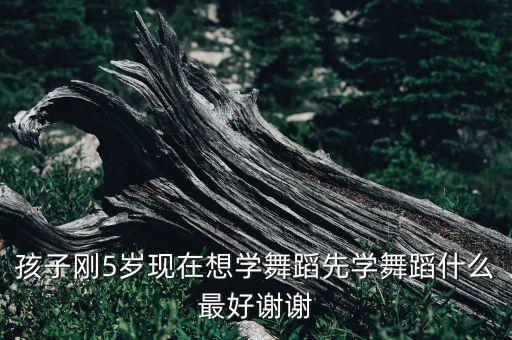 孩子刚5岁现在想学舞蹈先学舞蹈什么最好谢谢