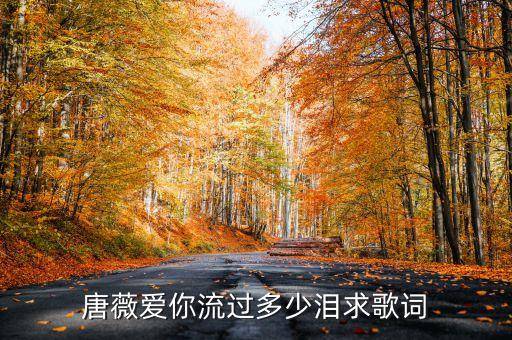 唐薇爱你流过多少泪求歌词