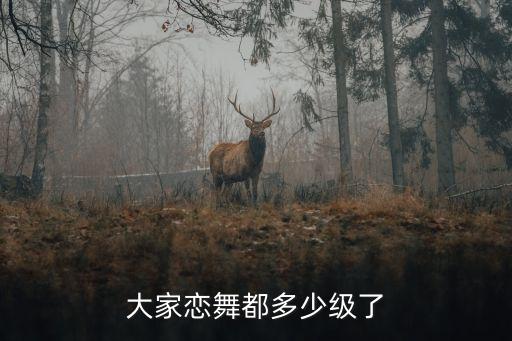 大家恋舞都多少级了