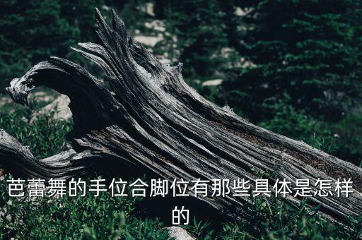 芭蕾舞的手位合脚位有那些具体是怎样的