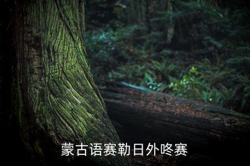 塞勒尔外冬塞什么意思，金杯里斟满了醇香的奶酒 赛勒尔外冬赛 朋友们欢聚一堂尽情干一杯 有