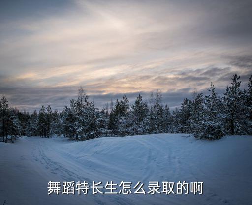 舞蹈特长生怎么录取的啊