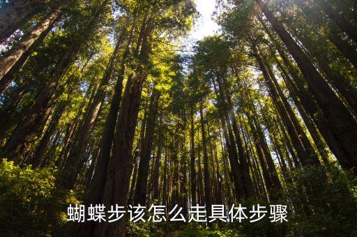 蝴蝶步该怎么走具体步骤