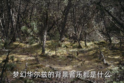 梦幻华尔兹的背景音乐都是什么