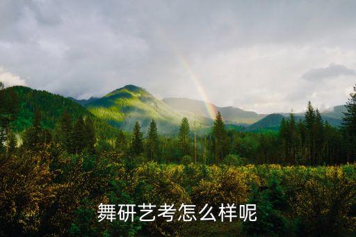舞研艺考怎么样呢