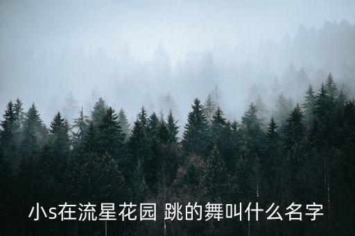 小s在流星花园 跳的舞叫什么名字