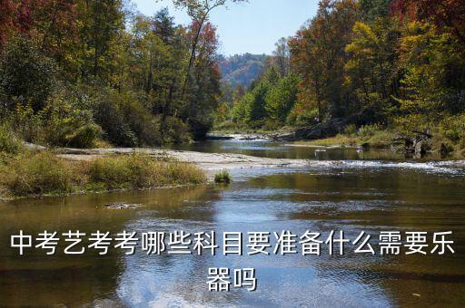 中考艺考考哪些科目要准备什么需要乐器吗