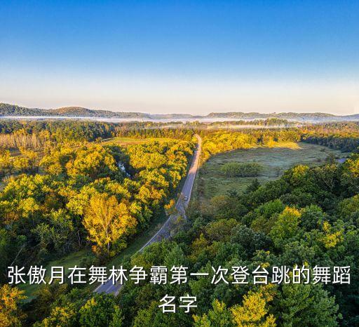 张傲月在舞林争霸第一次登台跳的舞蹈名字