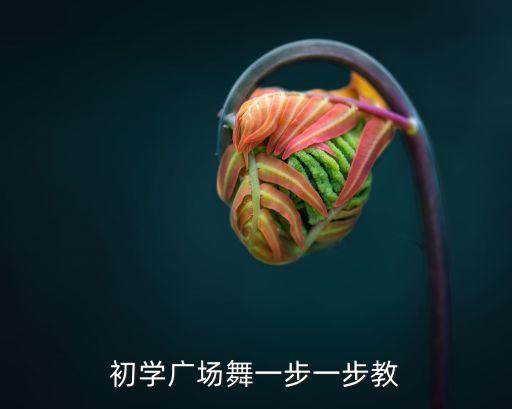 广场舞教学一步一步教，广场舞动作一步一步文字教学方法
