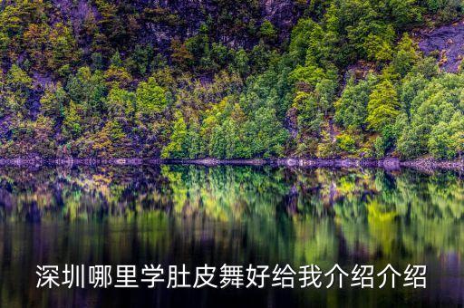 深圳哪里学肚皮舞好给我介绍介绍