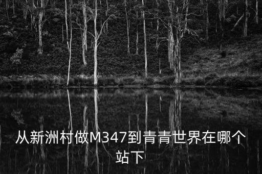 从新洲村做M347到青青世界在哪个站下