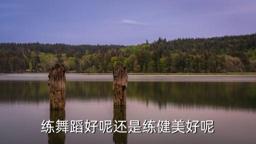 练舞蹈好呢还是练健美好呢