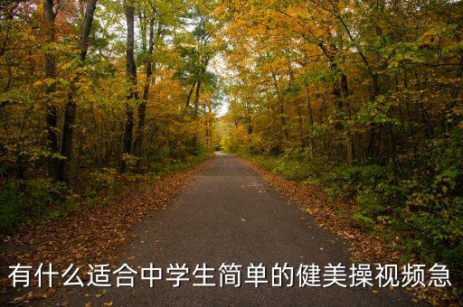 有什么适合中学生简单的健美操视频急