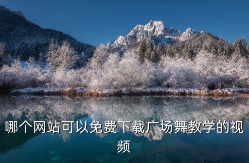 有什么广场舞教学视频教学视频下载，广场舞教学视频下载