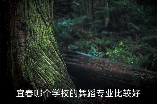宜春哪个学校的舞蹈专业比较好