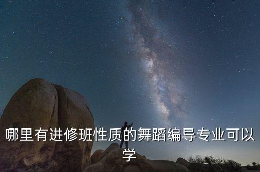 哪个舞蹈学院可以进修，已经大学毕业 想去学习专业的拉丁舞 有什么学校可以去