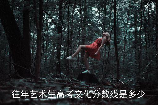 往年艺术生高考文化分数线是多少