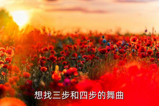 想找三步和四步的舞曲