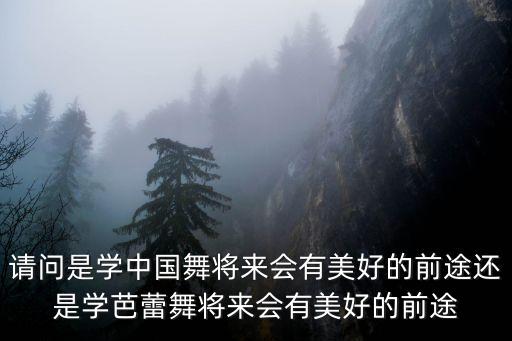 请问是学中国舞将来会有美好的前途还是学芭蕾舞将来会有美好的前途