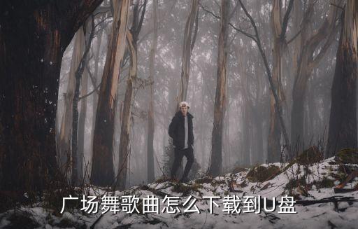中国大舞台广场舞音乐怎么下载，广场舞歌曲怎么下载到U盘