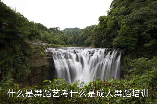 什么是舞蹈艺考什么是成人舞蹈培训