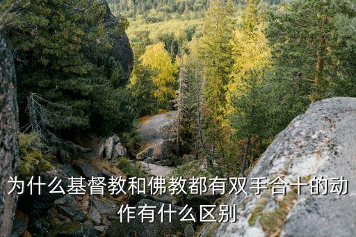 为什么基督教和佛教都有双手合十的动作有什么区别
