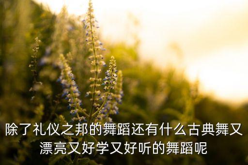 除了礼仪之邦的舞蹈还有什么古典舞又漂亮又好学又好听的舞蹈呢