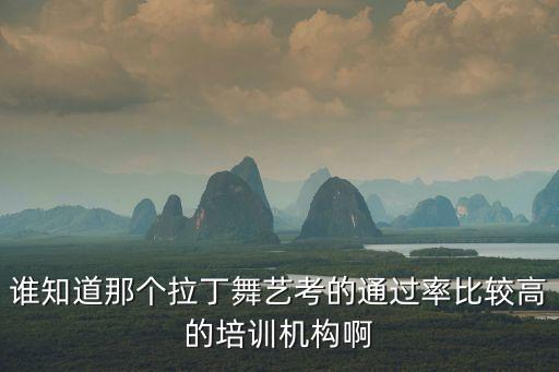 谁知道那个拉丁舞艺考的通过率比较高的培训机构啊