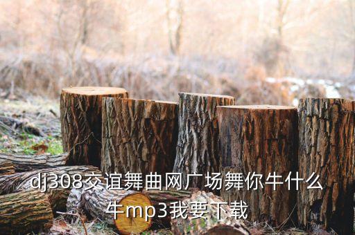 茉莉广场舞牛什么牛mp3下载，广场舞你牛甚么牛mp3