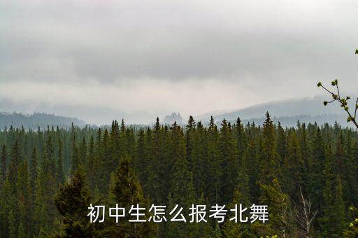 初中生怎么报考北舞