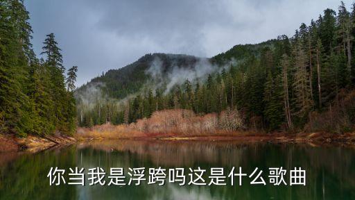 你当我是浮跨吗这是什么歌曲
