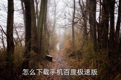 怎么下载手机百度极速版