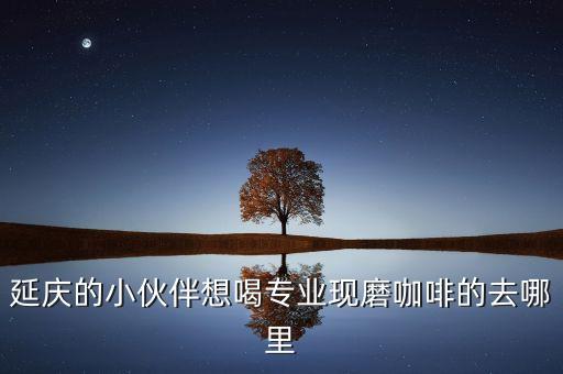 拾光集私人订制花艺，上海碧泓商贸有限公司这个公司怎么样 我过段时间要去面试想了