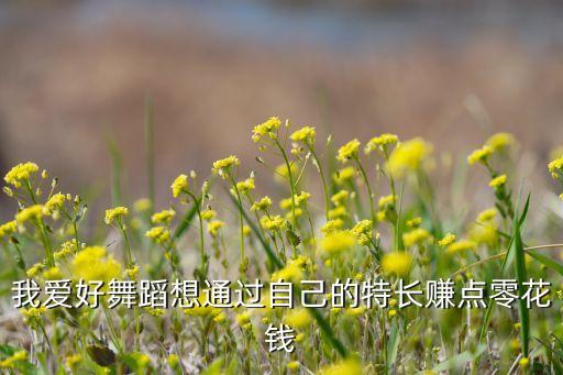我爱好舞蹈想通过自己的特长赚点零花钱