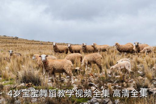 4岁宝宝舞蹈教学视频全集 高清全集