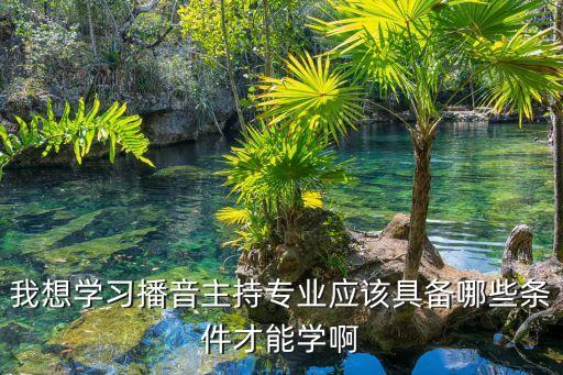 播音主持专业需要什么条件，学播音主持需要什么条件才可以报