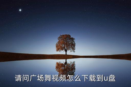 要美了美了广场舞视频怎么下载视频，请问广场舞视频怎么下载到u盘