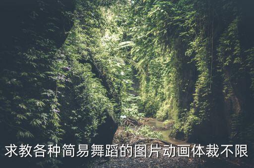 求教各种简易舞蹈的图片动画体裁不限