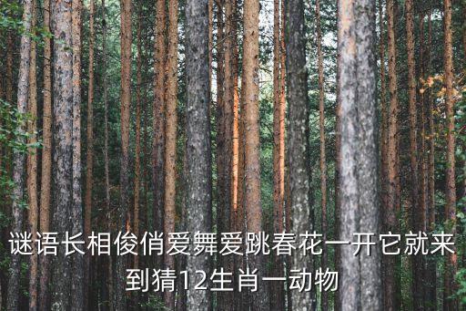 谜语长相俊俏爱舞爱跳春花一开它就来到猜12生肖一动物