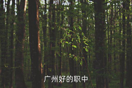 广州好的职中