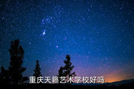 重庆天籁艺术学校好吗