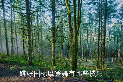 反身截步造型如何做得更好，怎样做到反身踢