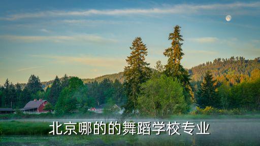 北京哪的的舞蹈学校专业