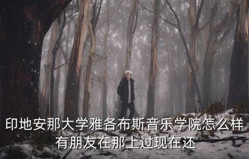 印地安那大学雅各布斯音乐学院怎么样 有朋友在那上过现在还