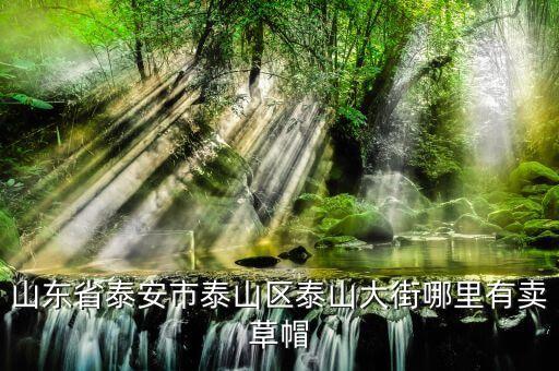 山东省泰安市泰山区泰山大街哪里有卖草帽