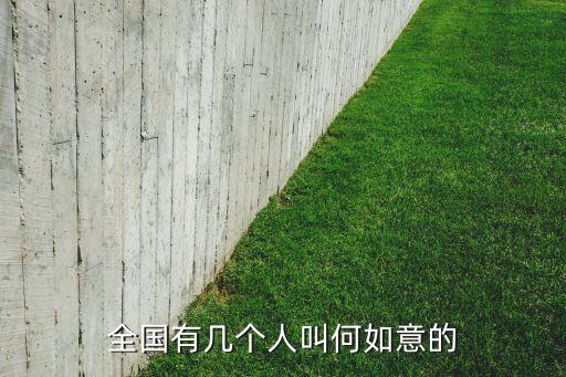 全国有几个人叫何如意的