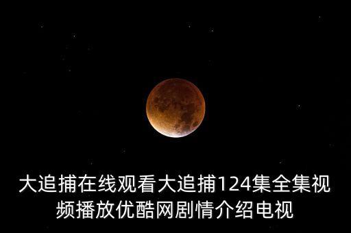 大追捕在线观看大追捕124集全集视频播放优酷网剧情介绍电视
