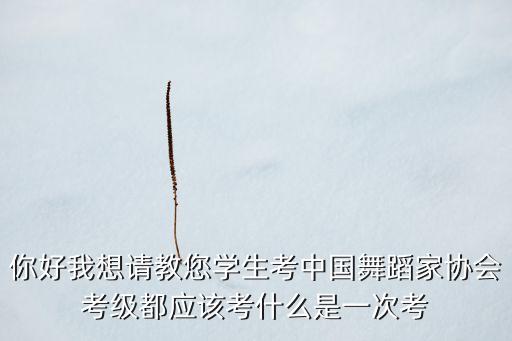 你好我想请教您学生考中国舞蹈家协会考级都应该考什么是一次考