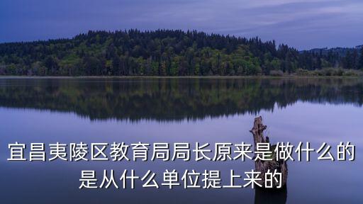 宜昌夷陵区教育局局长原来是做什么的是从什么单位提上来的